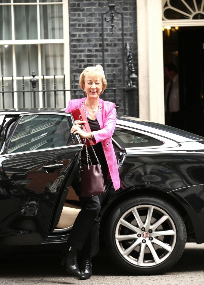  The potential punishment is part of a package of measures put together by Andrea Leadsom