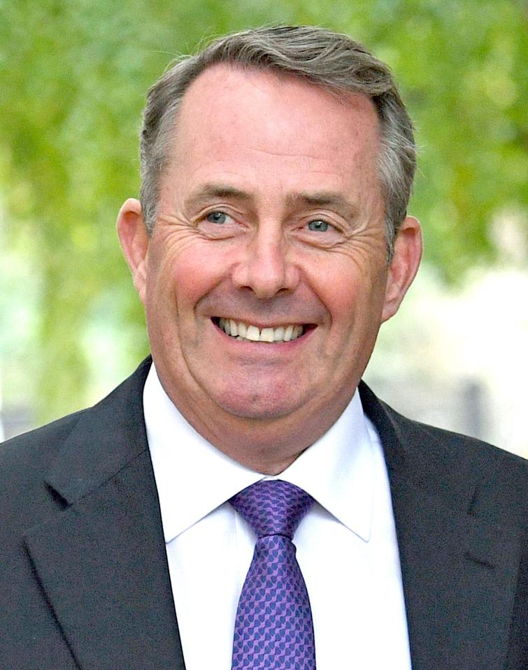  Liam Fox could be recruited in to the role - he's been loyal to the PM