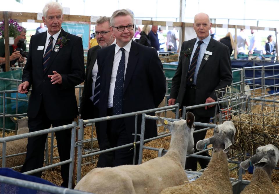  Michael Gove made his disdain for Theresa May's customs plan visibly clear