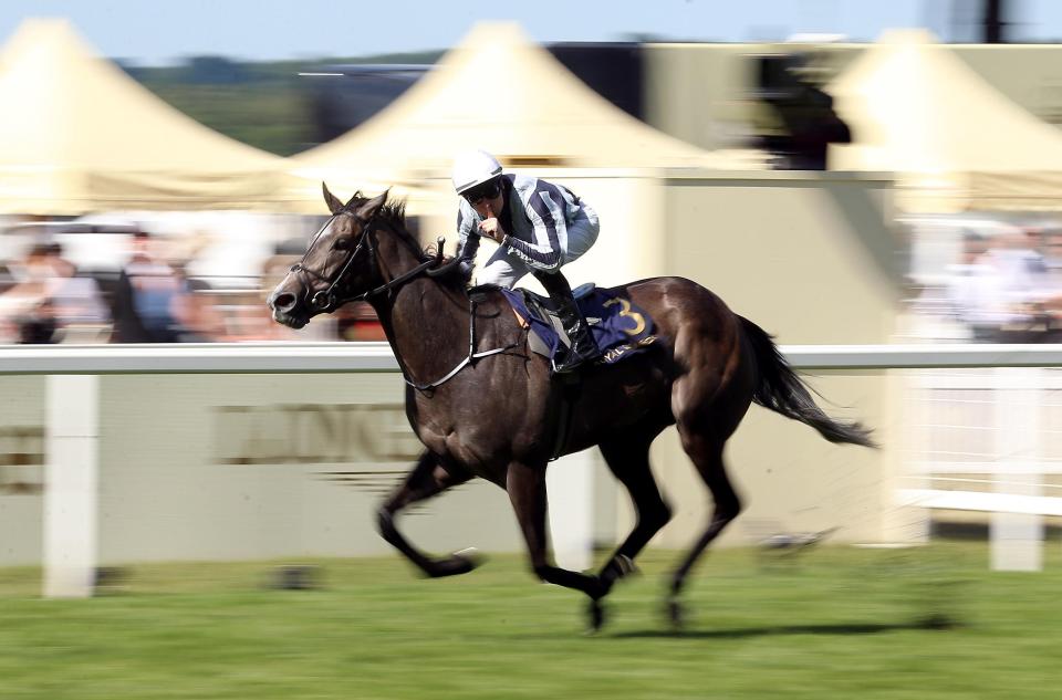  Alpha Centauri has been retired after her injury