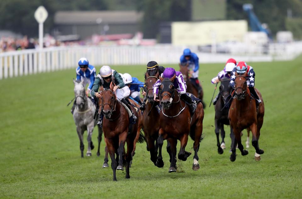  Hot favourite Harry Angel (blue, in rear) missed the break and could never recover