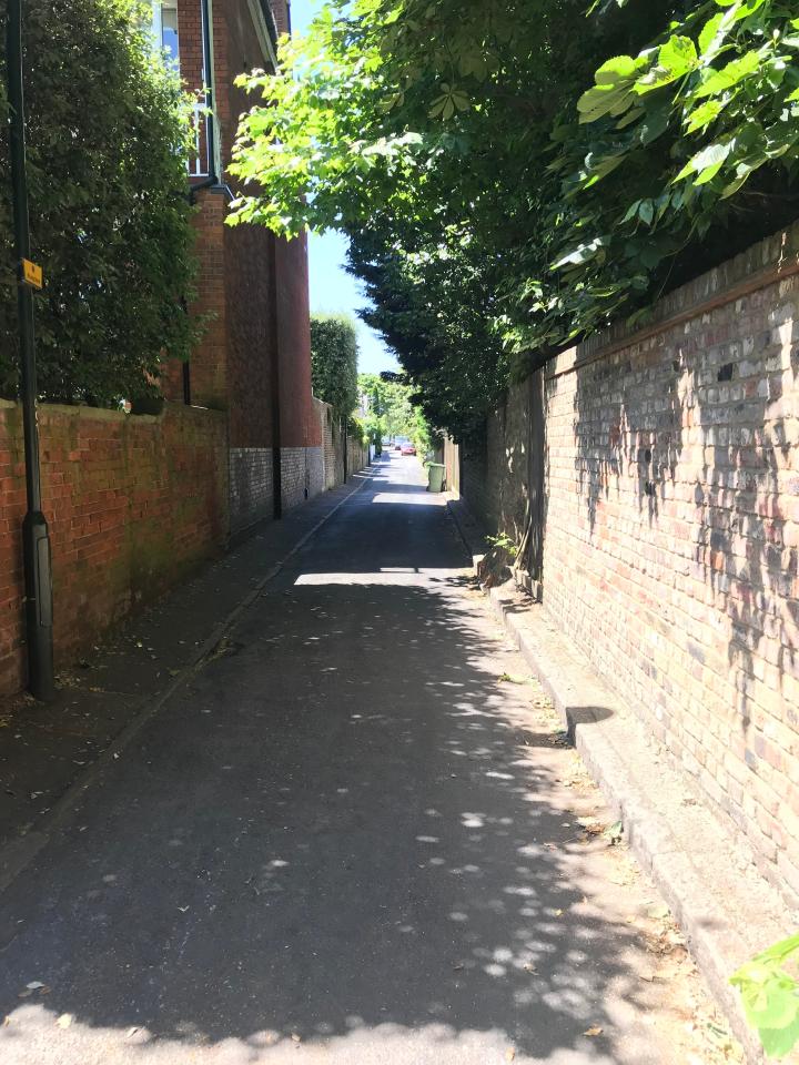  The alley where the masked men ran down after trying to steal jewellery from the woman