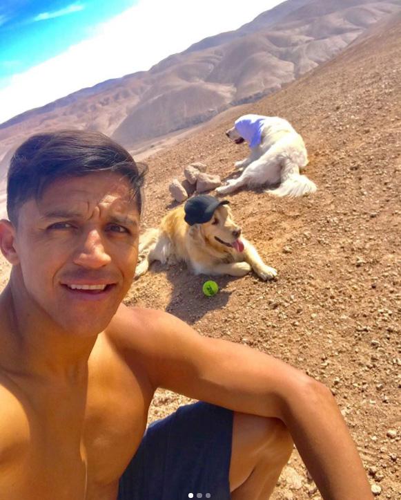  Alexis Sanchez keeps up his training with his dogs, one of which is wearing a baseball cap