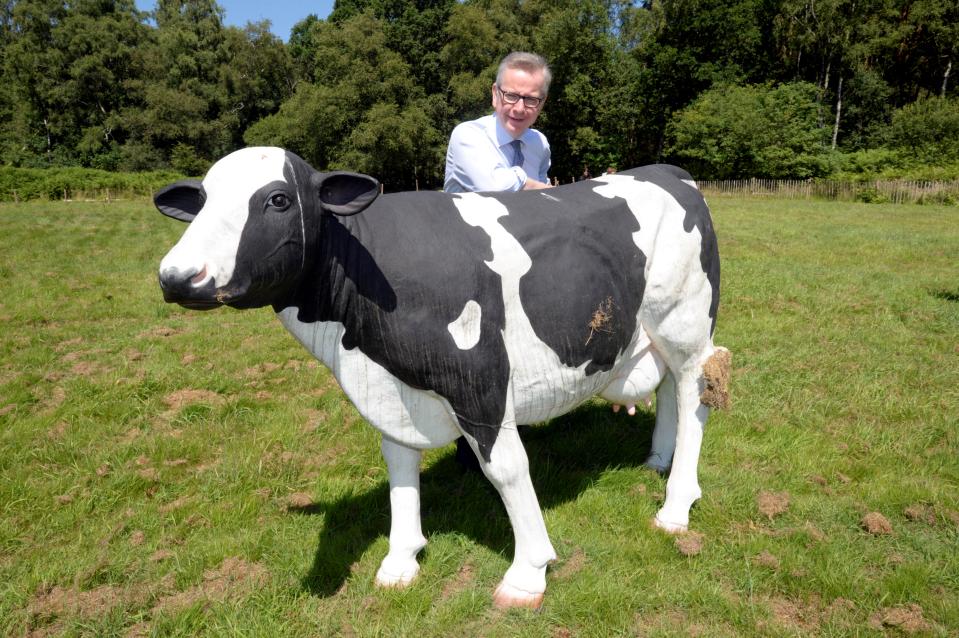  Michael Gove on a visit to Scotland earlier this week