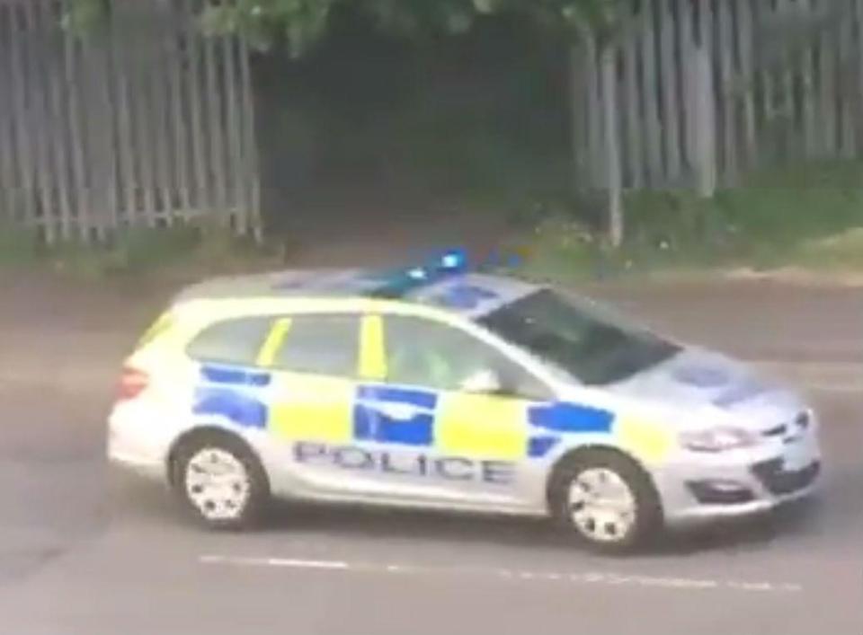  A cop car was quick to the scene but the 'swordsman' managed to make off through this fence into forested area