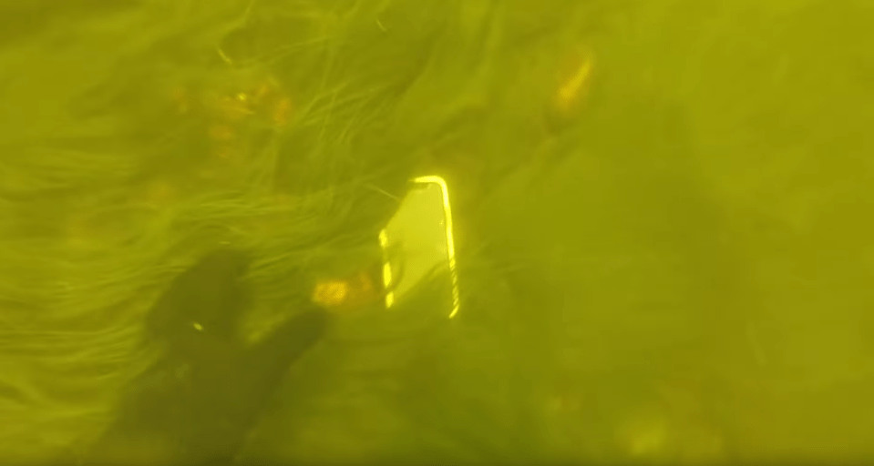  The lost iPhone X spent two weeks trapped among the weeds at the bottom of a river