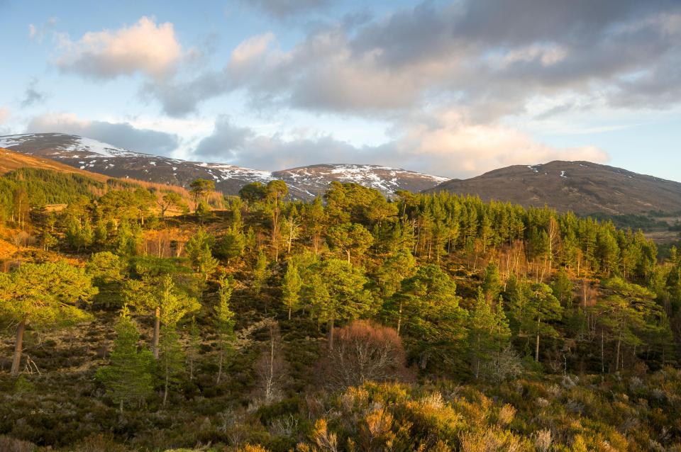  The 10,000-acre country pile is located in the Scottish Highlands