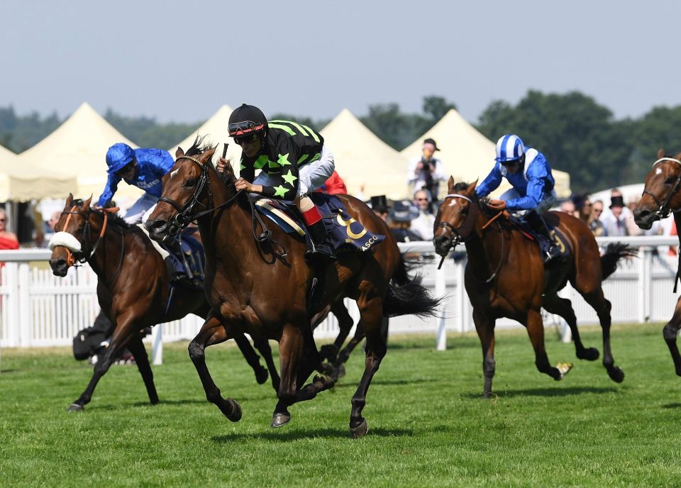  Lady Aurelia was a brilliant winner of the race last year