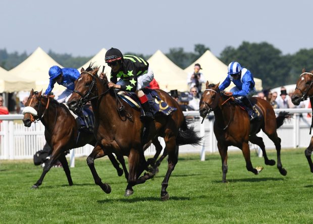 Lady Aurelia was a brilliant winner of the race last year