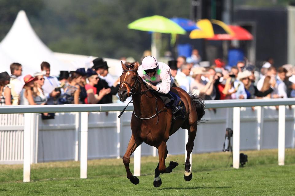  Thomas Hobson went on to finish sixth in last year's Melbourne Cup