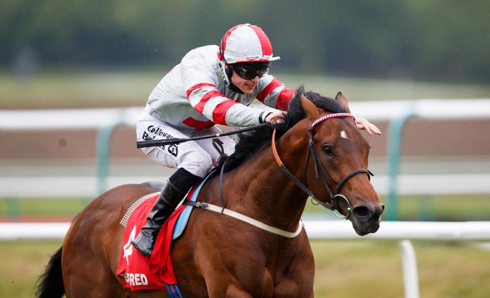  Knight To Behold booked his ticket to Epsom in the Lingfield Derby Trial