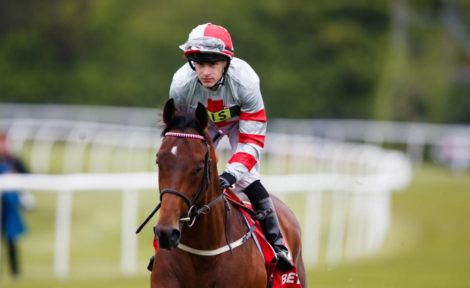  Knight To Behold winning the Derby would be a dream come true for Dunlop