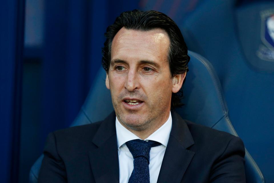  Unai Emery is hoping to make the midfielder one of his first signings for Arsenal