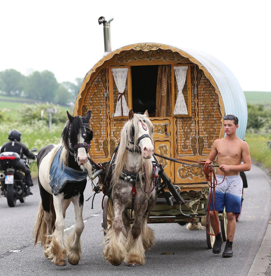  A man guides his horses along the A65 in North Yorkshire