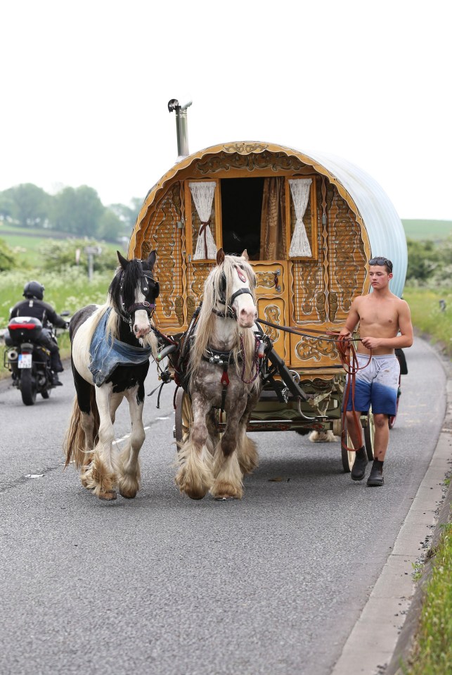 A man guides his horses along the A65 in North Yorkshire