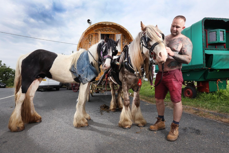 Jamie Horton from Telford, Shropshire, attends to his horses at the side of the A65 in Clapham, North Yorkshire