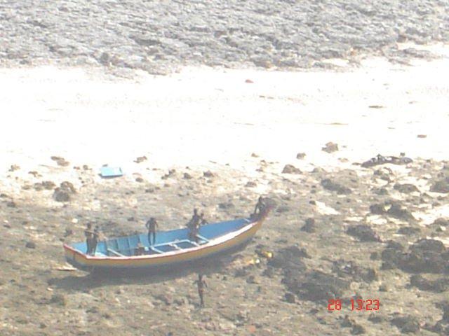  This rare picture, shot from a helicopter by Indian Coast Guard, shows Sentinelese tribesmen