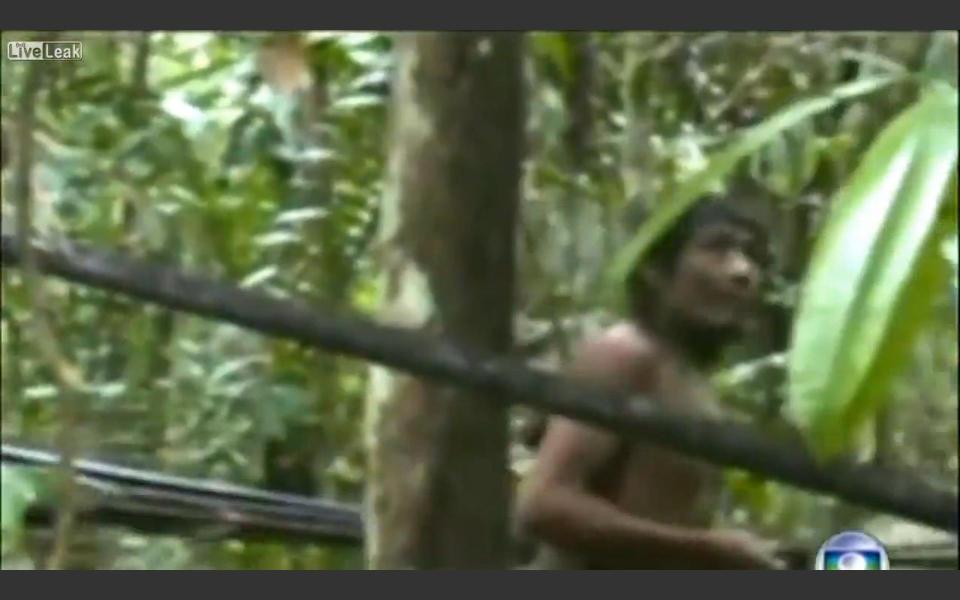  Brazil's Amazonian Kawahiva Tribe have survived numerous genocidal attacks