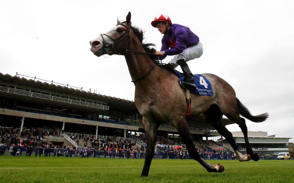  Success Days can win the Sky Bet York Stakes once again