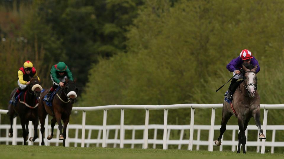  Success Days has the class to win the Sky Bet York Stakes for a second time