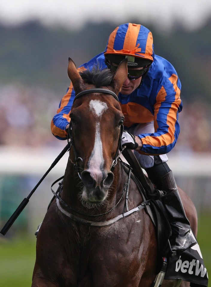 Idaho will be stepped up in trip for the Goodwood Cup