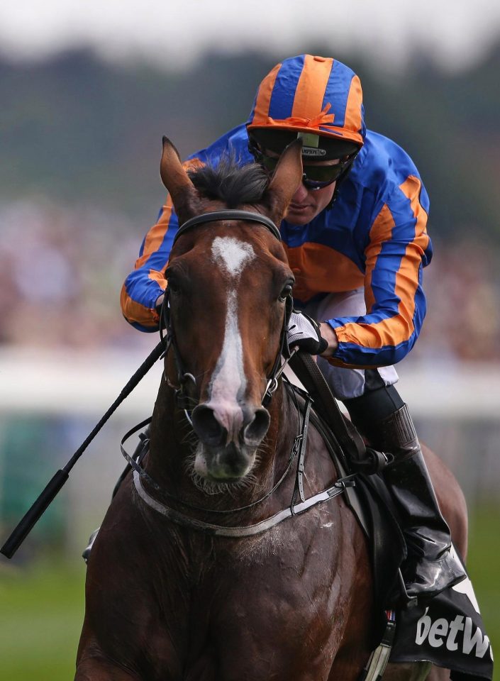  Idaho will be stepped up in trip for the Goodwood Cup