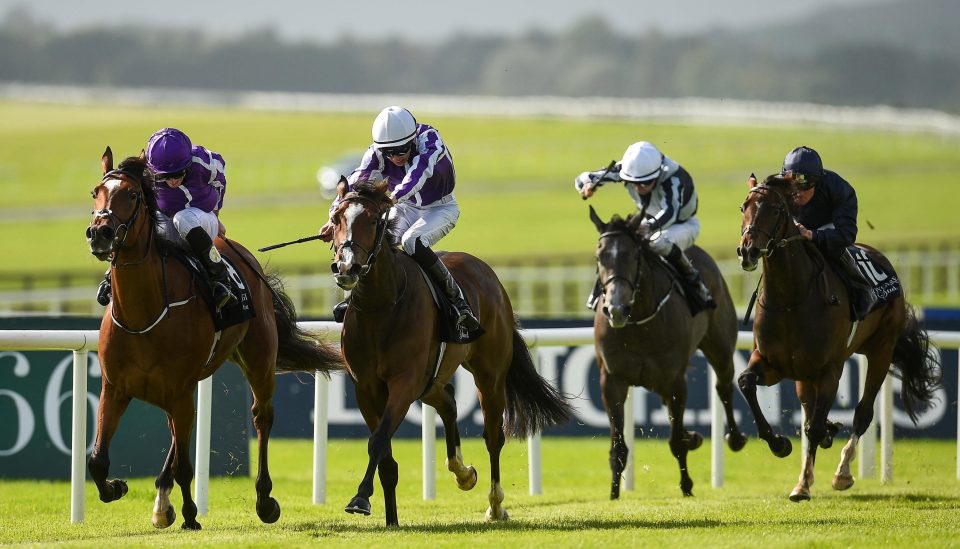  Magical (left) won a Group 2 at this track last season