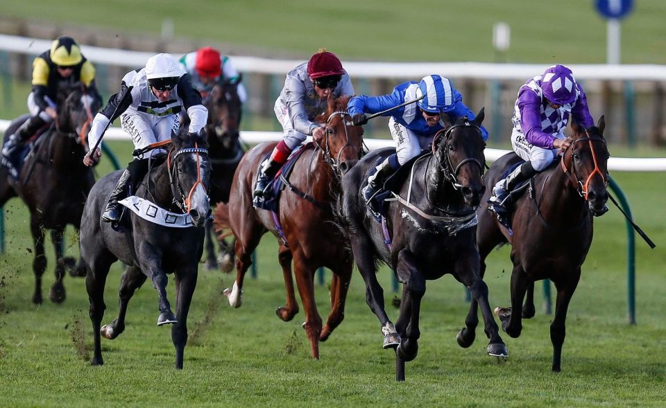  Elarqam in winning action at Newmarket last September