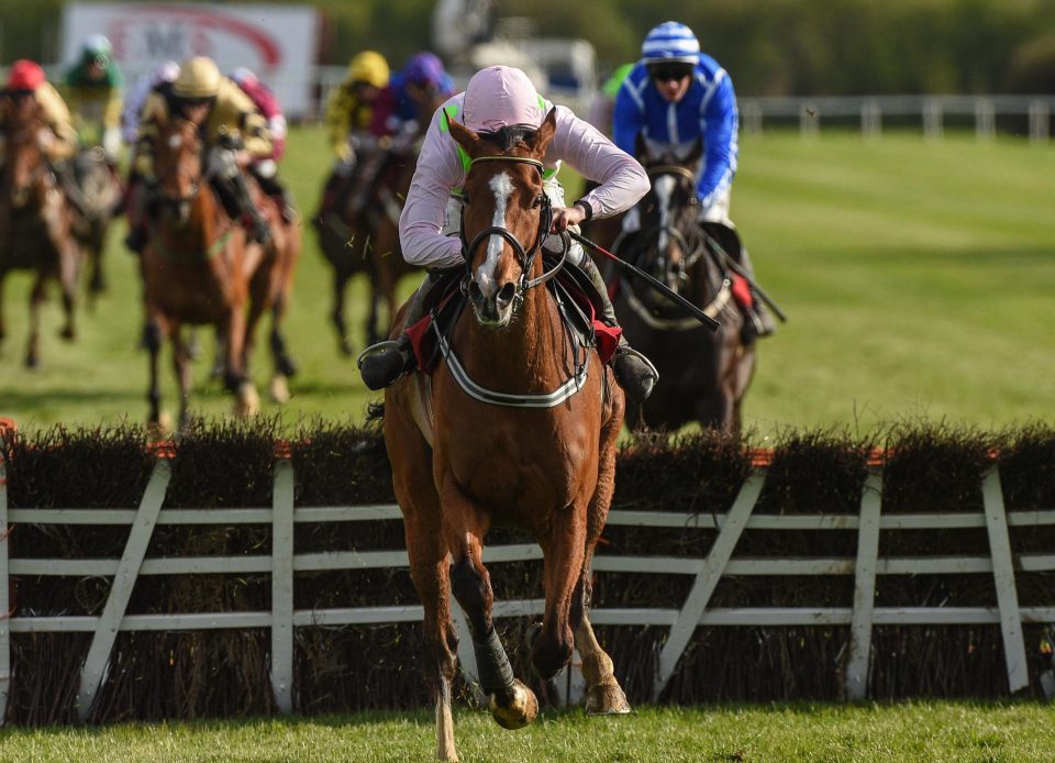  Faugheen was the 1-3 antepost favourite for the Champion Hurdle but was ruled out through injury