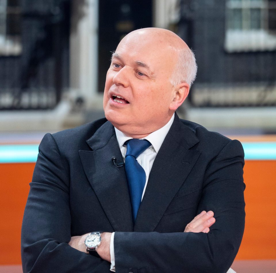  Former Conservative leader Iain­ Duncan Smith recently lashed out at Varadkar, telling him to 'quit strutting around and start ­behaving like an adult'