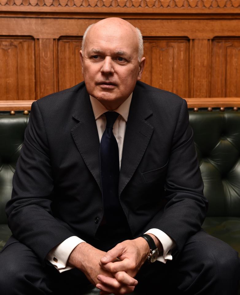  Ex-Tory leader Ian Duncan Smith has said that this deal is 'not what the British voted for'