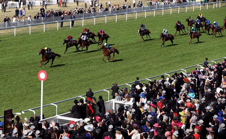  Di Fede ran well to finish seventh behind Agrotera at Royal Ascot