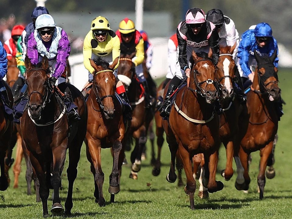  Sir Chauvelin (right) finished second at Royal Ascot