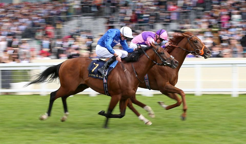  Bacchus (far side) was a game winner of the Wokingham at Royal Ascot