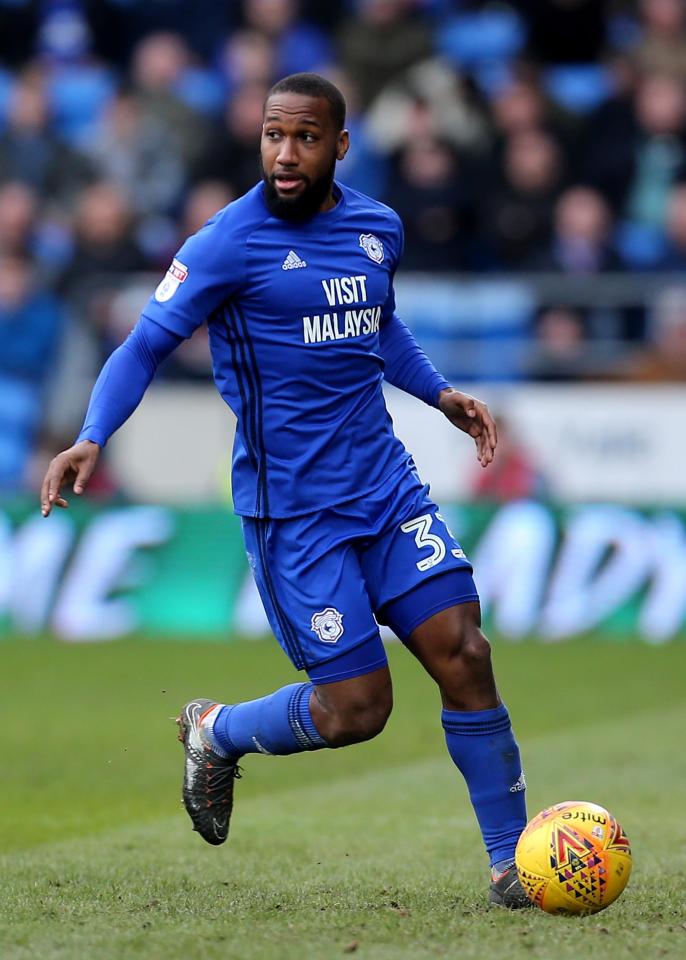  Junior Hoilett insists Cardiff can make an impact in Premier League next season