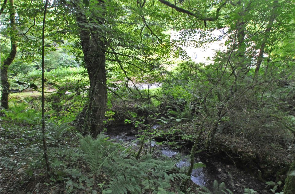  There is a lake running through the grounds of the property