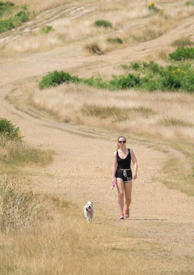  Elsewhere it was dry for many today, including here in Richmond Park, South West London