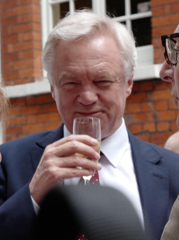  David Davis sensationally quit as Brexit Secretary late last night