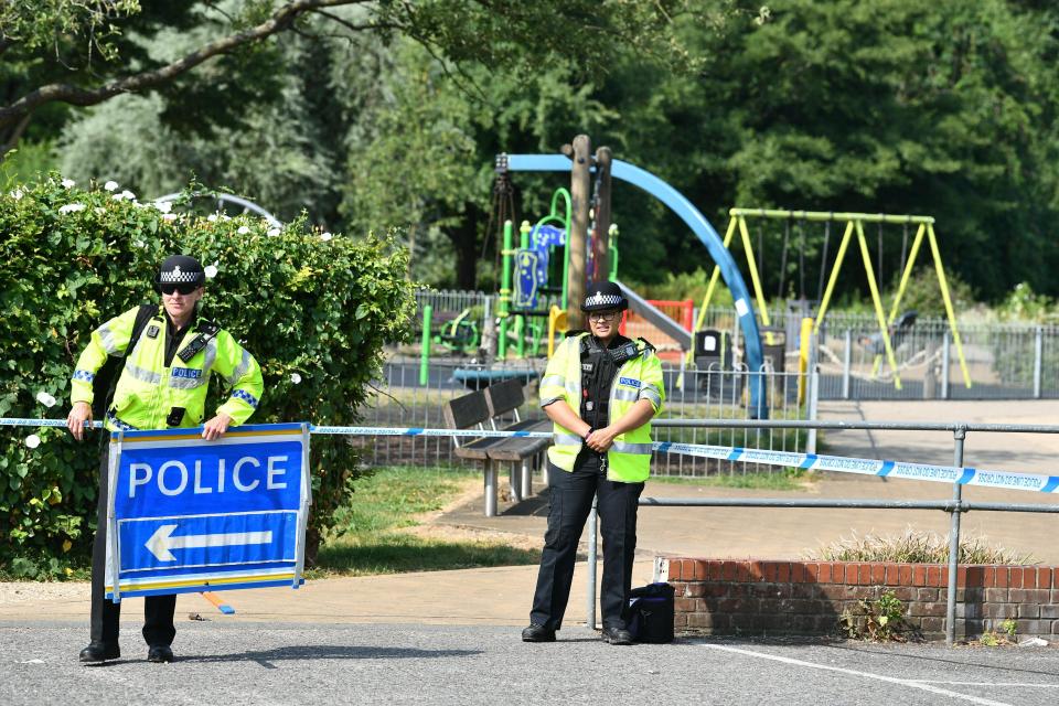  Parts of Salisbury went into lockdown as another set of nerve agent victims were found