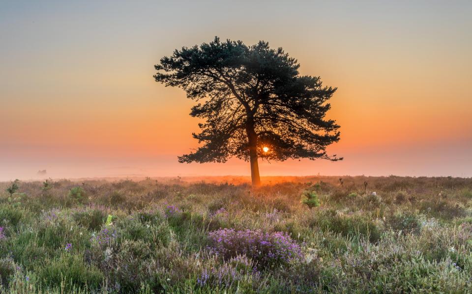  Today will reach 33C in the South East of England like here in Hampshire, but it will still be a scorcher for many