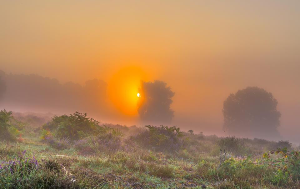  Sunrise in Ringwood, Hamps this morning on what is shaping up to be the hottest day of the year