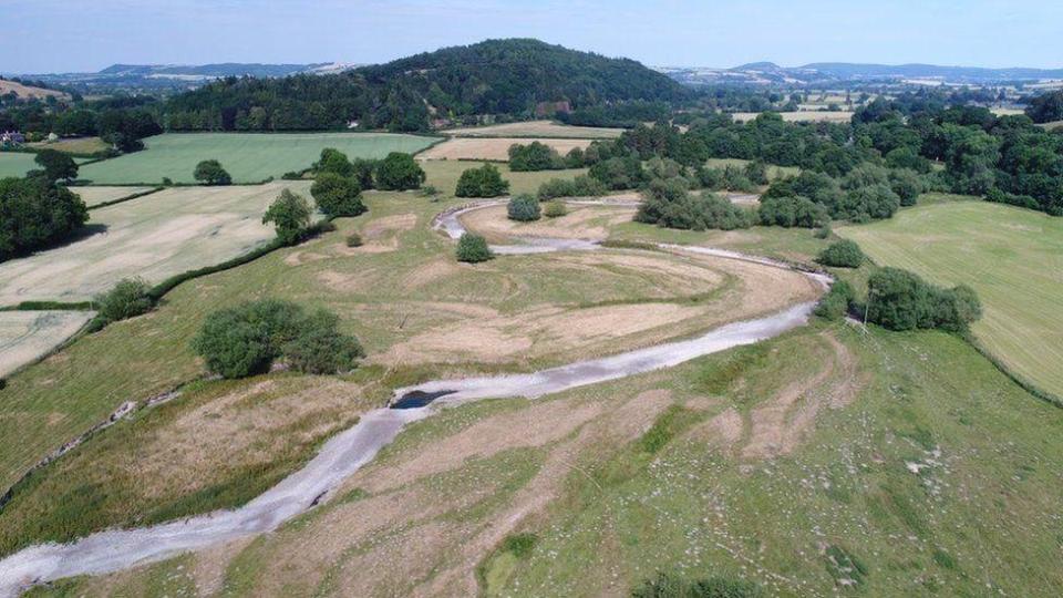  River Teme in Hertfordshire all but disappeared amid the parched conditions