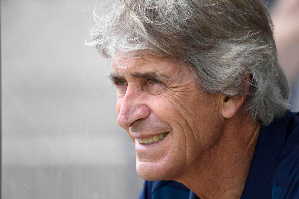  Hammers boss Manuel Pellegrini has made a sharp start to this summer's transfer window