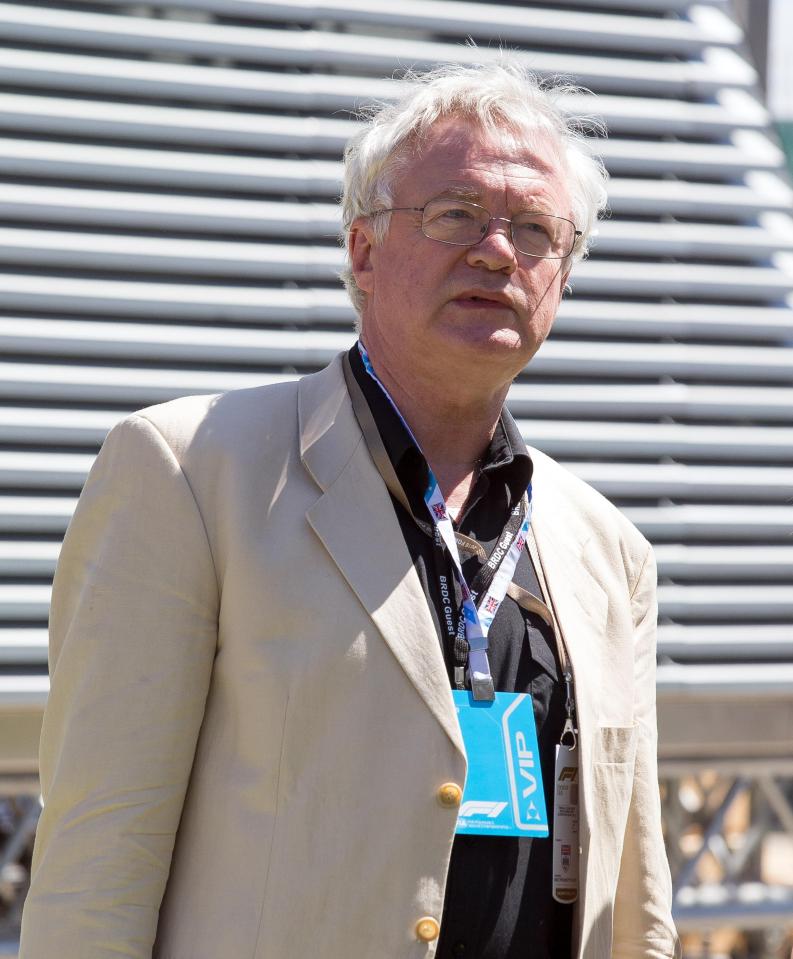  David Davis was pictured at the British Grand Prix in Silverstone on the day of his resignation