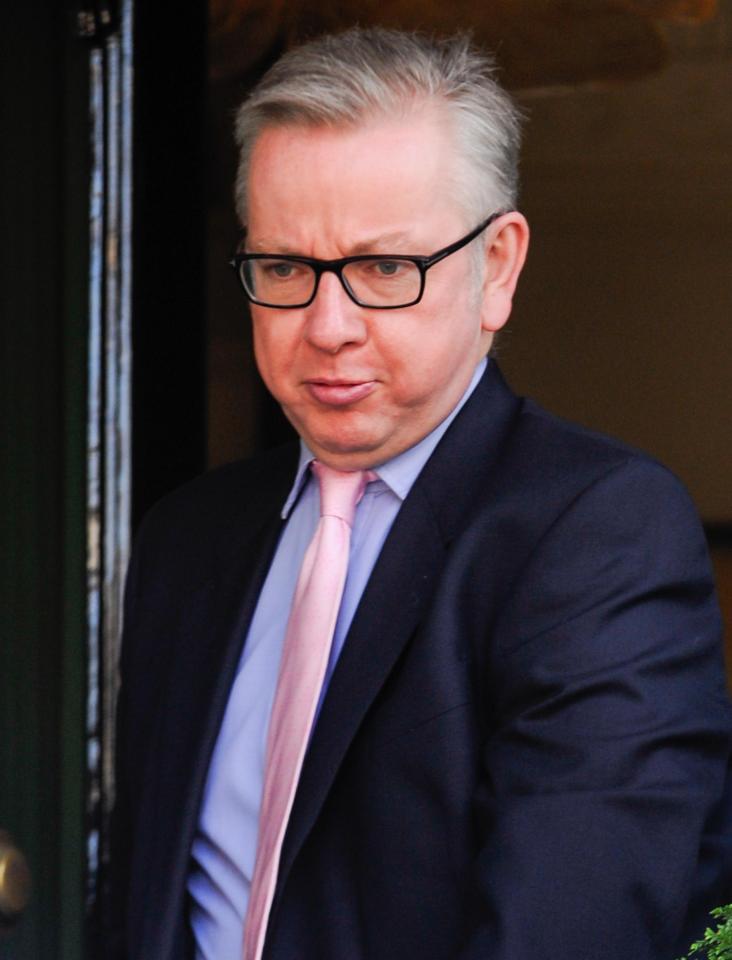  Environment Secretary Michael Gove came out to support the Prime Minister over the weekend - could he replace David Davis?