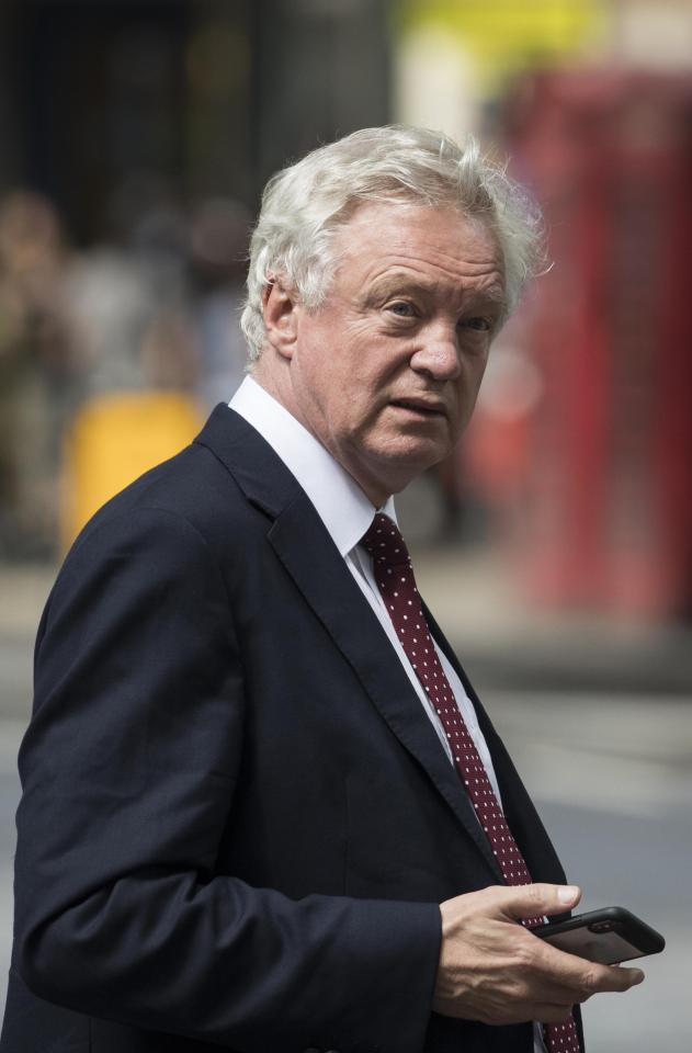  David Davis caused chaos for the PM after his shock resignation