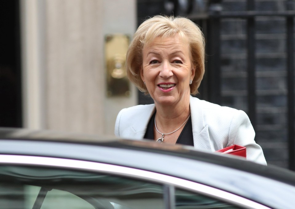 Andrea Leadsom is spearheading the new rules