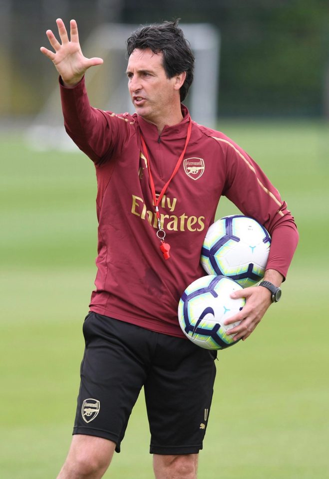  New Arsenal boss Unai Emery says Mesut Ozil needs to be handled with care rather than just criticised