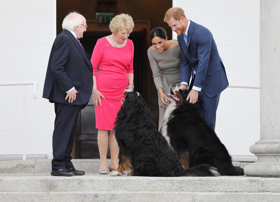  Dog lover Meghan looked delighted to meet the pooches, as did new husband Harry