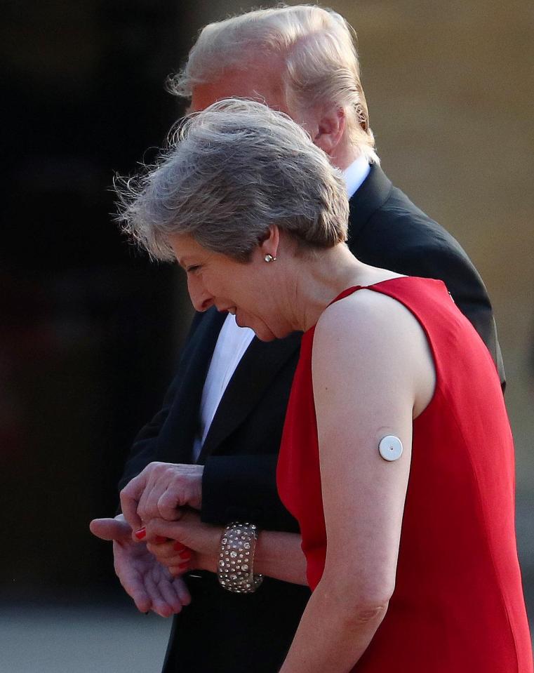  Theresa May and Donald Trump climb the steps to the entrance of Blenheim Palace